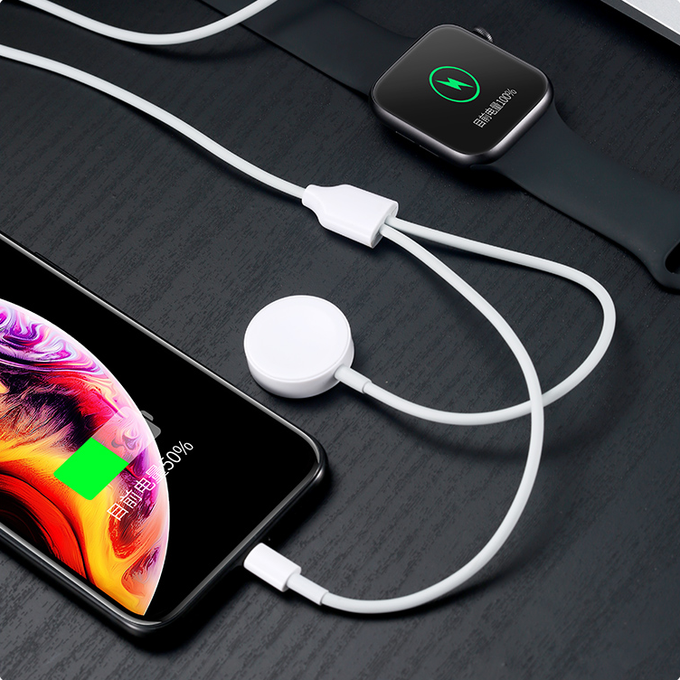 2 in 1 Apple Lightning Cable