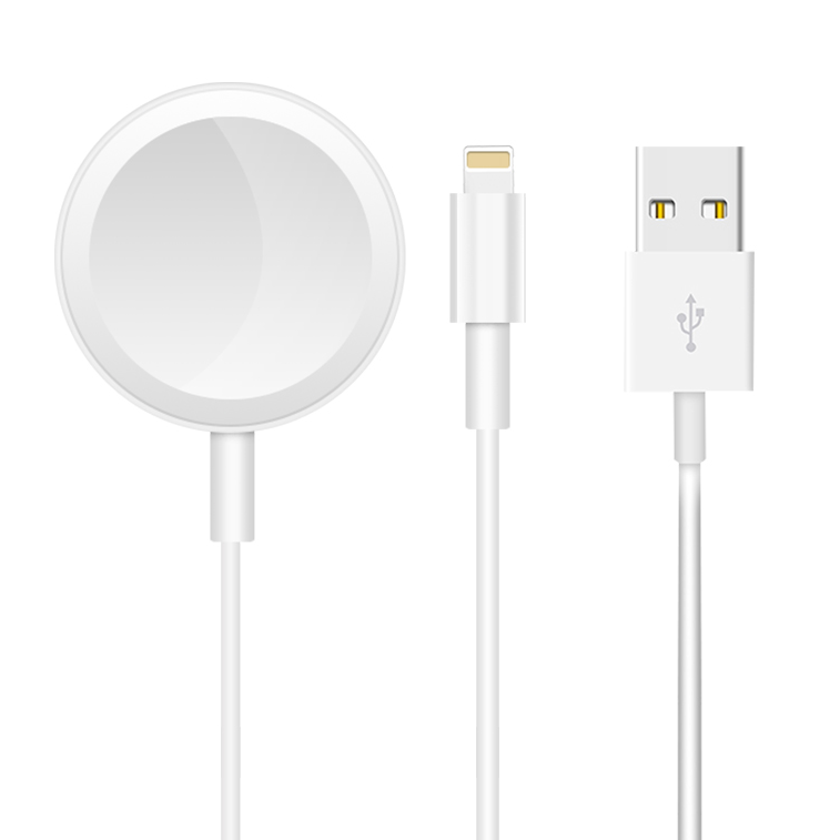 2 in 1 Apple Lightning Cable